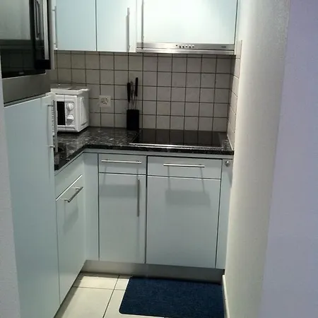 Apartment Rent Roc Zermatt